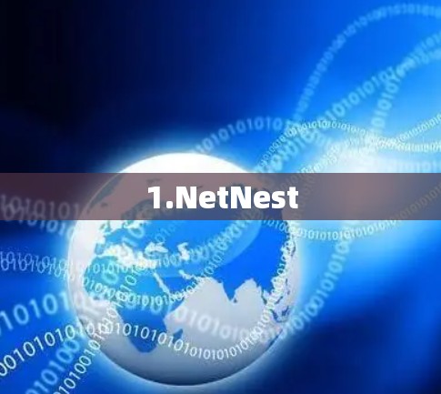 1.NetNest