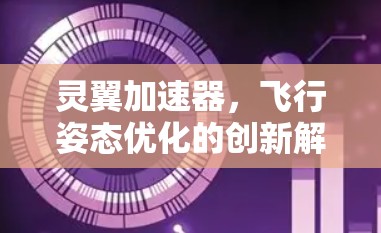 灵翼加速器，飞行姿态优化的创新解决方案