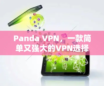 Panda VPN,一款简单又强大的VPN选择