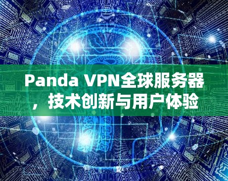 Panda VPN全球服务器,技术创新与用户体验的完美结合