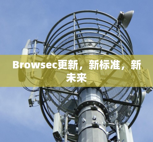 Browsec更新,新标准,新未来
