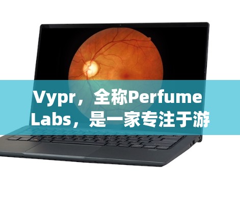 Vypr,全称Perfume Labs,是一家专注于游戏和视频内容的公司。在219年,Perfume Labs推出了Perfume VPN,一款专门用于处理游戏和视频内容的VPN软件