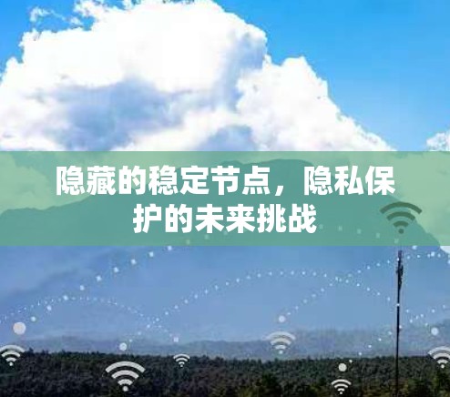 隐藏的稳定节点,隐私保护的未来挑战 隐藏的稳定节点,隐私保护的未来挑战