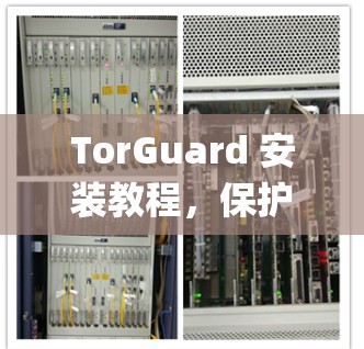 TorGuard 安装教程,保护 Torque 系统的高效解决方案 TorGuard 安装教程,保护 Torque 系统的高效解决方案