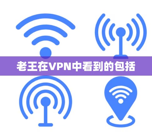 老王在VPN中看到的包括 老王在VPN中看到的包括