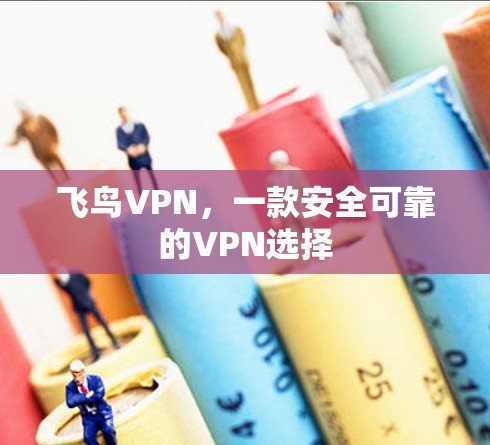 飞鸟VPN,一款安全可靠的VPN选择 飞鸟VPN,一款安全可靠的VPN选择