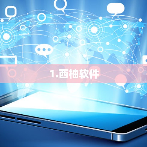 1.西柚软件