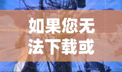 如果您无法下载或使用飞讯外网加速器，以下是一些可能的步骤和解决方案