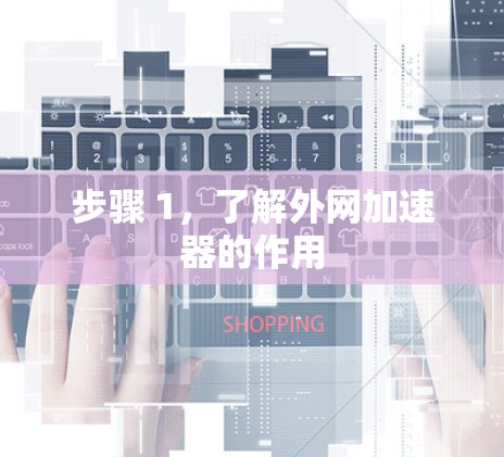 步骤 1，了解外网加速器的作用
