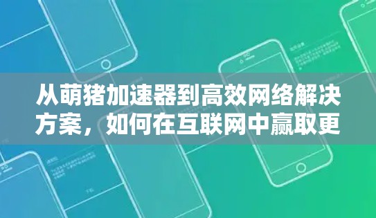 从萌猪加速器到高效网络解决方案,如何在互联网中赢取更多时间 从萌猪加速器到高效网络解决方案,如何在互联网中赢取更多时间