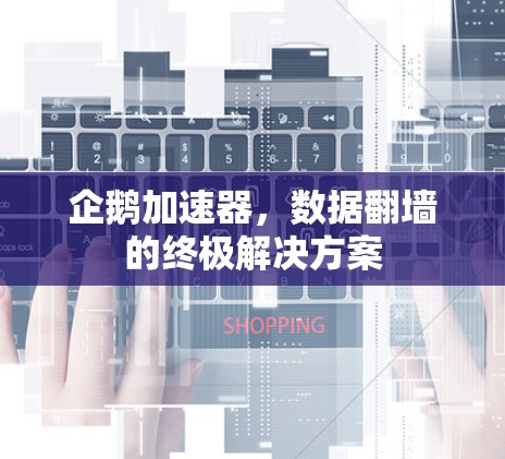 企鹅加速器,数据翻墙的终极解决方案 企鹅加速器,数据翻墙的终极解决方案