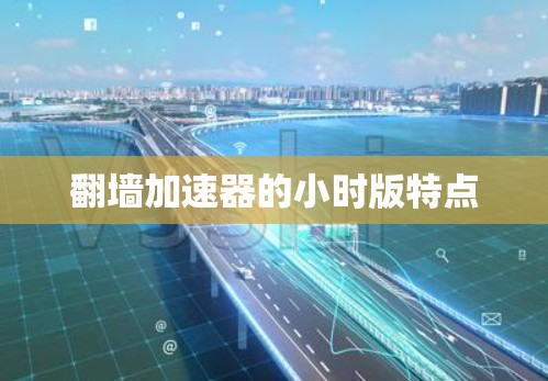 翻墙加速器的小时版特点 翻墙加速器的小时版特点