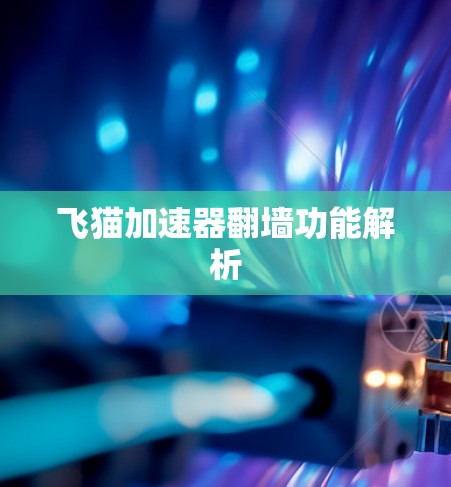 飞猫加速器翻墙功能解析 飞猫加速器翻墙功能解析