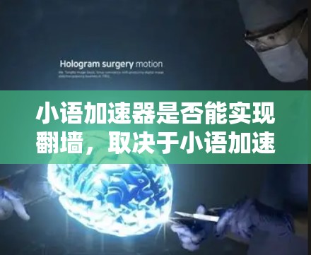 小语加速器是否能实现翻墙，取决于小语加速器的设置和功能。以下是对小语加速器翻墙能力的详细分析