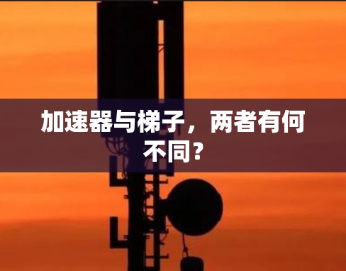 加速器与梯子,两者有何不同? 加速器与梯子,两者有何不同?