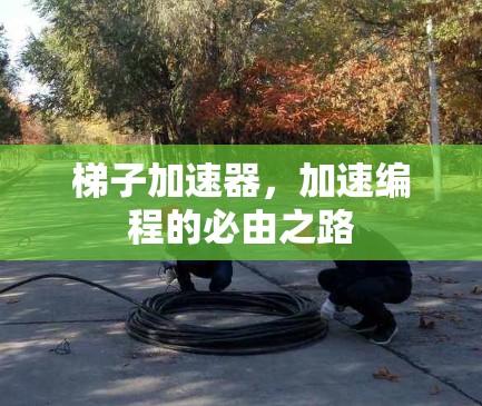 梯子加速器，加速编程的必由之路