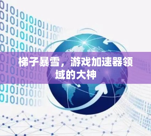 梯子暴雪,游戏加速器领域的大神 梯子暴雪,游戏加速器领域的大神