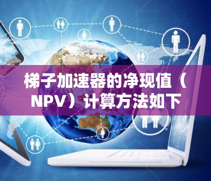 梯子加速器的净现值(NPV)计算方法如下 梯子加速器的净现值(NPV)计算方法如下