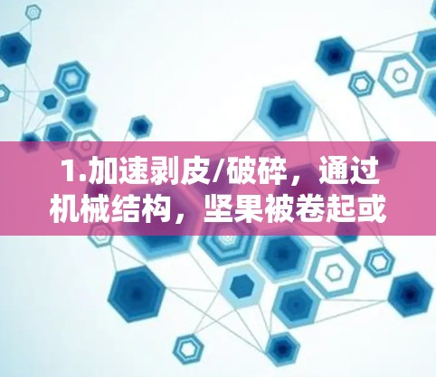 1.加速剥皮/破碎,通过机械结构,坚果被卷起或压紧,加速剥皮或破碎 1.加速剥皮/破碎,通过机械结构,坚果被卷起或压紧,加速剥皮或破碎