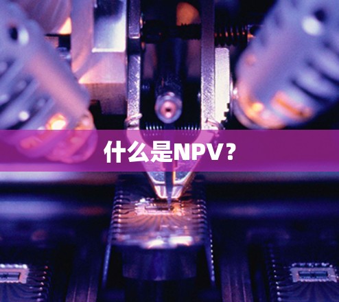 什么是NPV? 什么是NPV?