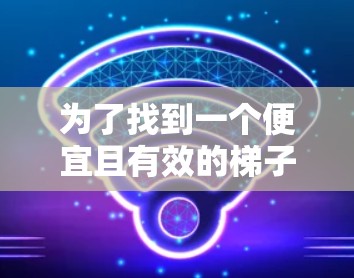 为了找到一个便宜且有效的梯子加速器，我进行了以下分析
