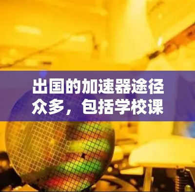 出国的加速器途径众多,包括学校课程、工作项目、社区项目、移民积分卡、移民认证以及国际学生和移民积分卡。以下是对每个途径的详细说明 出国的加速器途径众多,包括学校课程、工作项目、社区项目、移民积分卡、移民认证以及国际学生和移民积分卡。以下是对每个途径的详细说明