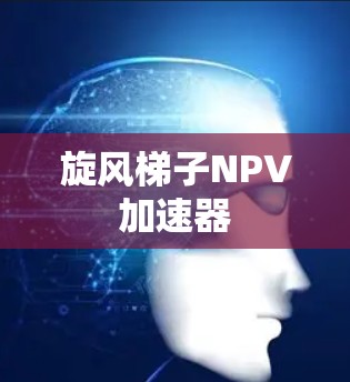 旋风梯子NPV加速器 旋风梯子NPV加速器
