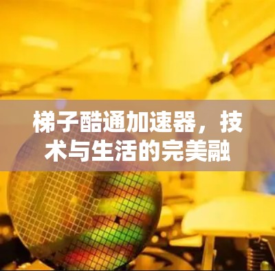 梯子酷通加速器,技术与生活的完美融合 梯子酷通加速器,技术与生活的完美融合