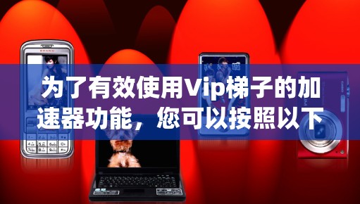 为了有效使用Vip梯子的加速器功能，您可以按照以下步骤操作