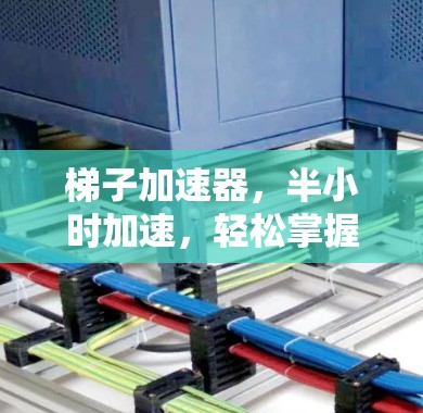梯子加速器,半小时加速,轻松掌握网络速度 梯子加速器,半小时加速,轻松掌握网络速度