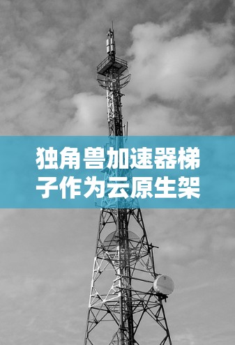 独角兽加速器梯子作为云原生架构中的关键组件,为模型训练带来了显著的优势。以下是对其功能的详细解析 独角兽加速器梯子作为云原生架构中的关键组件,为模型训练带来了显著的优势。以下是对其功能的详细解析
