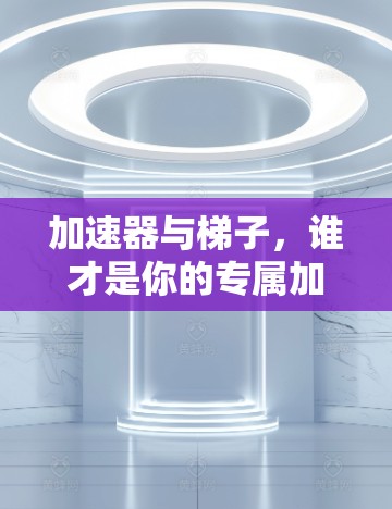 加速器与梯子,谁才是你的专属加速者? 加速器与梯子,谁才是你的专属加速者?