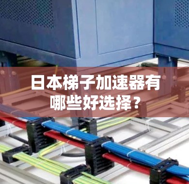 日本梯子加速器有哪些好选择? 日本梯子加速器有哪些好选择?