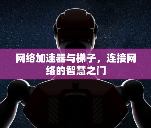 网络加速器与梯子,连接网络的智慧之门 网络加速器与梯子,连接网络的智慧之门