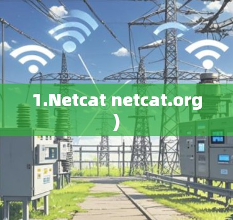 1.Netcat netcat.org) 1.Netcat netcat.org)