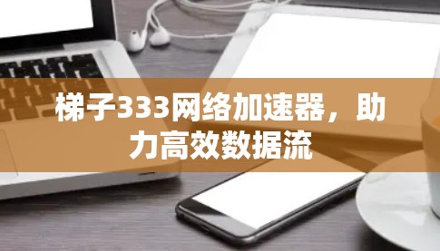 梯子333网络加速器，助力高效数据流