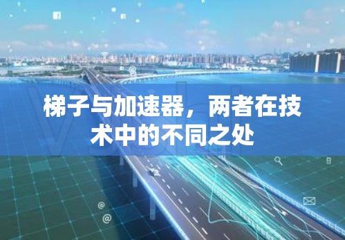 梯子与加速器,两者在技术中的不同之处 梯子与加速器,两者在技术中的不同之处