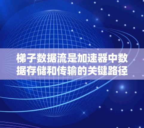 梯子数据流是加速器中数据存储和传输的关键路径，由以下几个部分组成