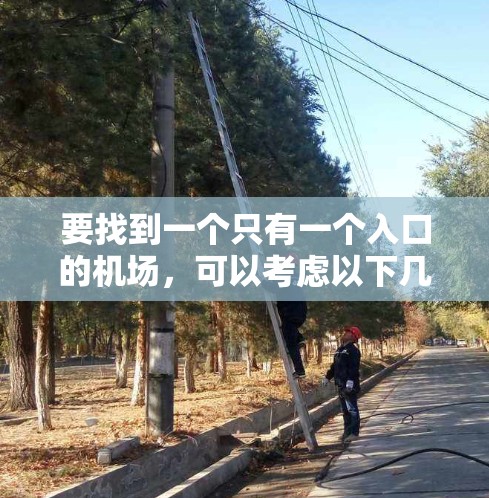 要找到一个只有一个入口的机场,可以考虑以下几种可能性 要找到一个只有一个入口的机场,可以考虑以下几种可能性