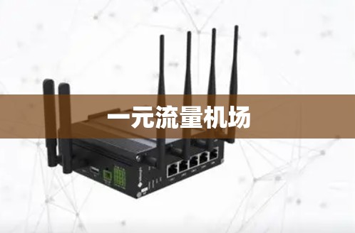 一元流量机场 一元流量机场
