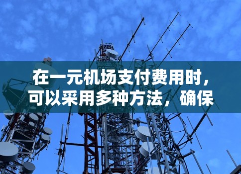 在一元机场支付费用时,可以采用多种方法,确保在不同场景下都能顺利支付。以下是一个全面的支付方案 在一元机场支付费用时,可以采用多种方法,确保在不同场景下都能顺利支付。以下是一个全面的支付方案