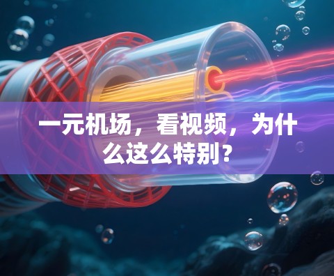 一元机场,看视频,为什么这么特别? 一元机场,看视频,为什么这么特别?