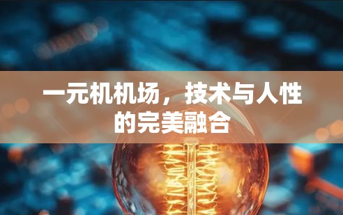 一元机机场,技术与人性的完美融合 一元机机场,技术与人性的完美融合