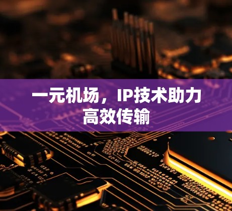 一元机场,IP技术助力高效传输 一元机场,IP技术助力高效传输
