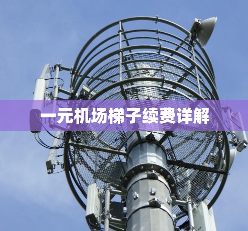 一元机场梯子续费详解 一元机场梯子续费详解