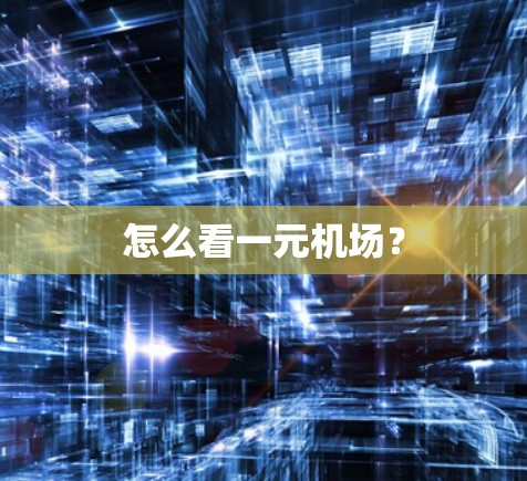 怎么看一元机场？