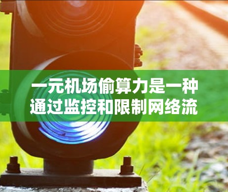 一元机场偷算力是一种通过监控和限制网络流量以提高效率和降低成本的策略，主要涉及流量分析、加密技术、人工智能、访问控制等多个方面。以下是对此问题的详细解释