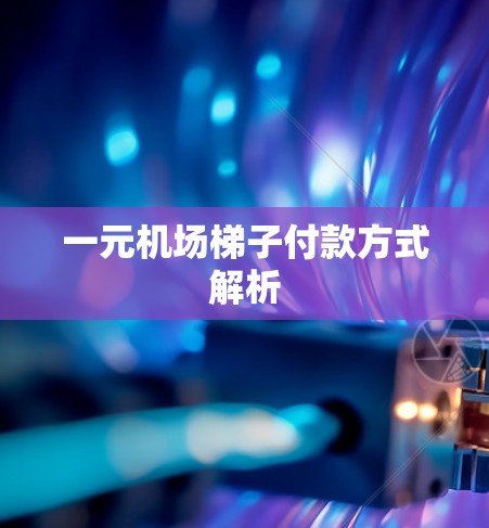 一元机场梯子付款方式解析 一元机场梯子付款方式解析