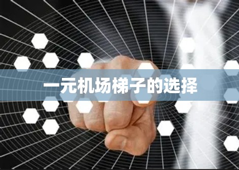 一元机场梯子的选择 一元机场梯子的选择