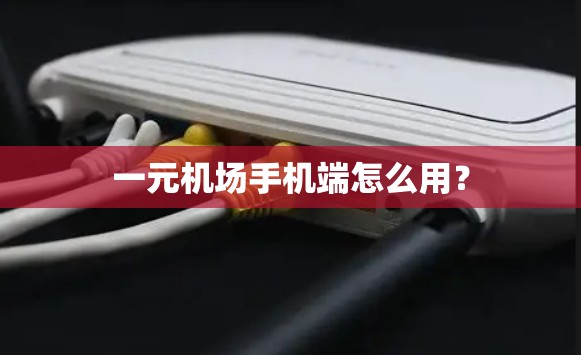 一元机场手机端怎么用? 一元机场手机端怎么用?